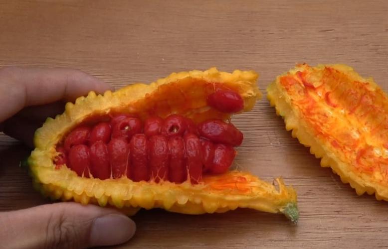 但实际上这种苦瓜就是要吃熟透变黄的,是一种江南的特色苦瓜,人称癞