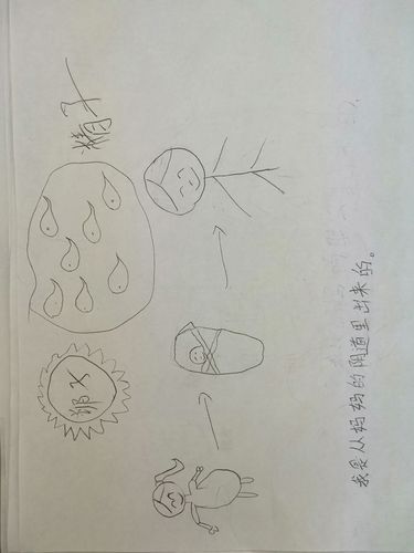 小学生性教育课《我从哪里来》《我的身体我做主》