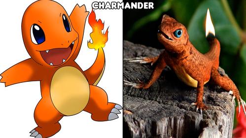 火恐龙由小火龙进化而来,在火焰能力舷更强.