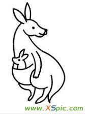 学识网 爱好 学画画 儿童画     袋鼠是澳大利亚特有的一个物种,是