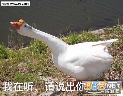 enjoy大鹅表情包图片-要亲亲要抱抱要举高高表情包-乐