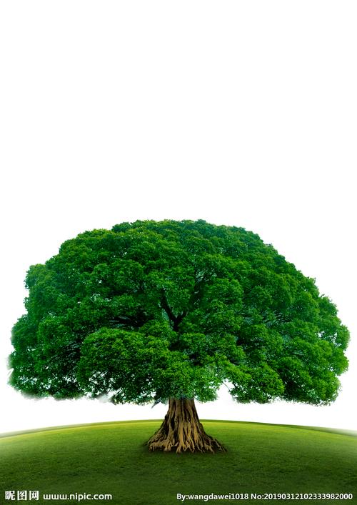 大树素材图片