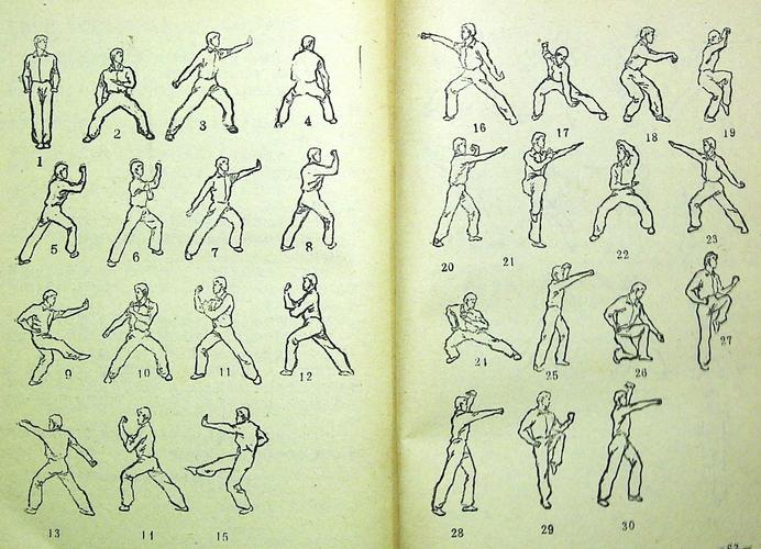 《精武十二路潭腿》