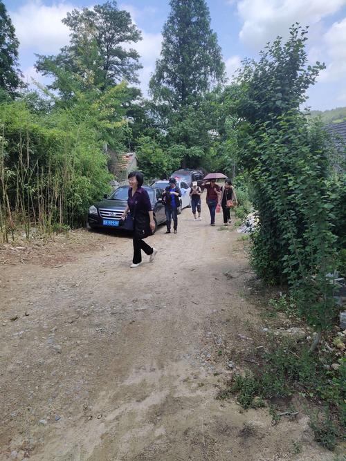 文登昆嵛山樱桃采摘