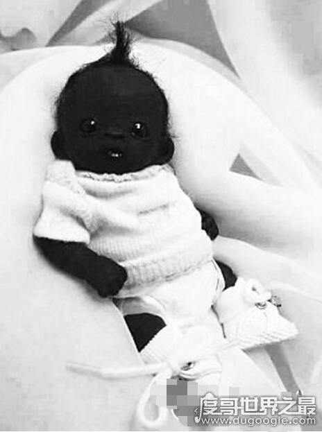 南非出现超级黑娃