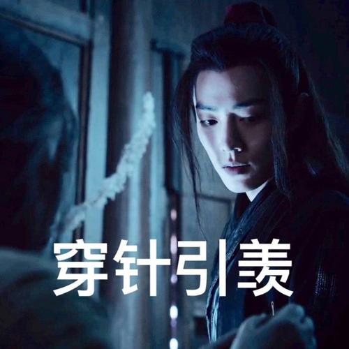 陈情令搞笑表情包:你别在问蓝湛羡羡的下落了,再问忘机就生气了