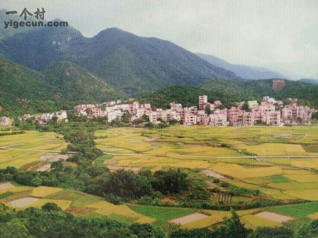 图片_广东省茂名市高州市谢鸡镇官庄村