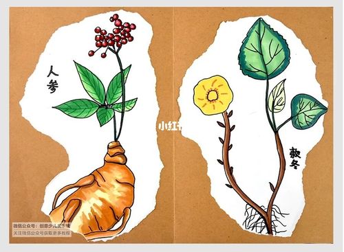 儿童画教程|我画《本草纲目》_绘画_创意儿童画_文化