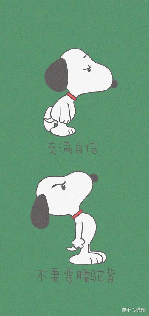 因为我从初中一直驼背到,这张壁纸我从初中就用,现在也慢慢不驼背了