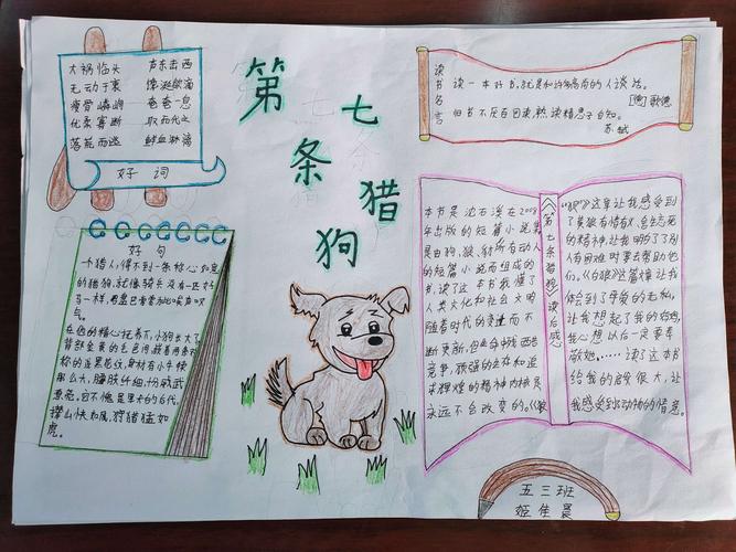 《第七条猎狗》读书分享会