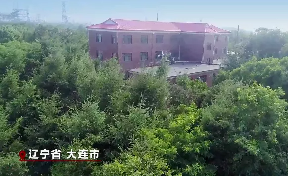 这些违法犯罪行为让"庄河徐家"成为地方一霸.老百姓避之唯恐不及.