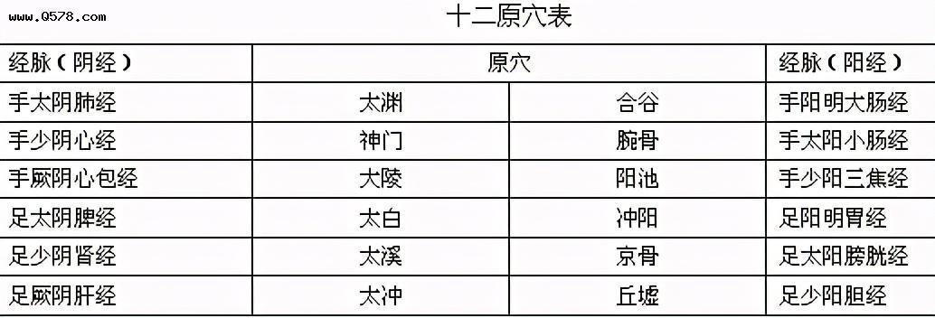 全身365个穴位,肘关节和膝关节以下的五输穴中,究竟哪些穴位是原穴呢
