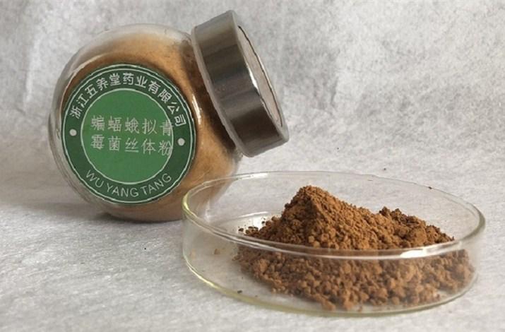 五养堂蝙蝠蛾拟青霉菌丝体粉 厂家供应发酵虫草菌粉原料批发现货