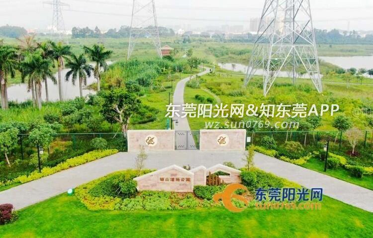 银山湿地公园