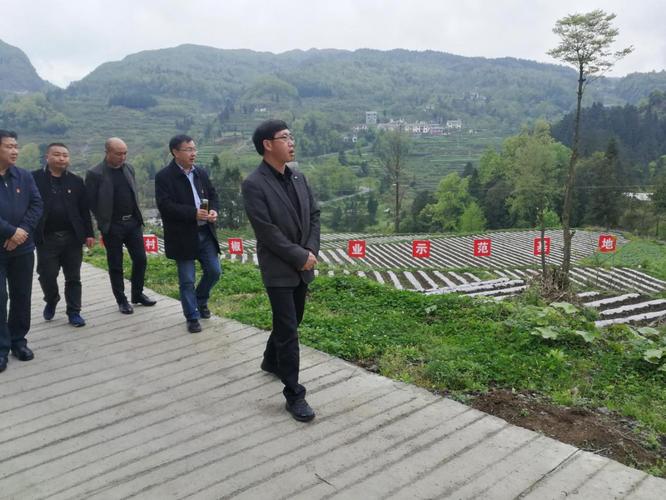 王开俊到正安县乐俭镇辽远村开展脱贫攻坚工作