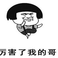 厉害了我的哥表情包_微信头像图片大全