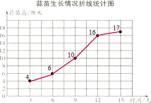 种蒜苗统计图的手抄报 手抄报模板大全