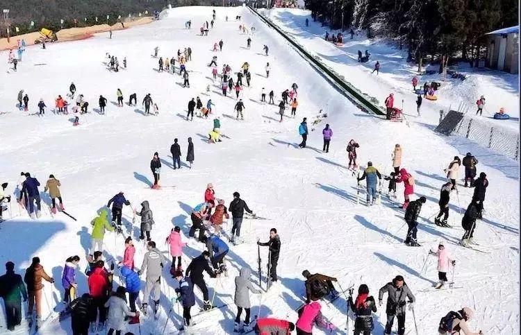 阳信东山滑雪场开始了,乐陵~庆云最近的滑雪场,阳信水落坡古玩市 东山