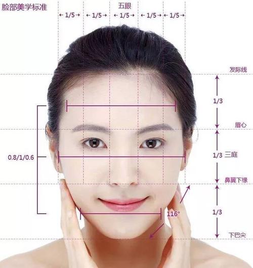眼部美学标准