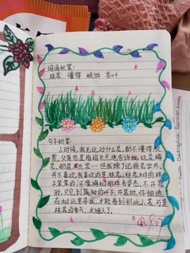 摘抄本摘抄好词佳句,这样设计版面,不但积累知识,更是