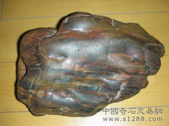 水冲硅化木资源稀少,但分布较广,蕴存在上游有硅化木原生地的河床上