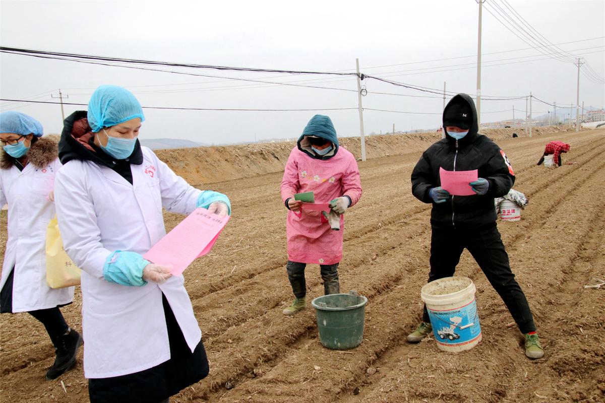 山东滕州农民戴口罩春耕战疫