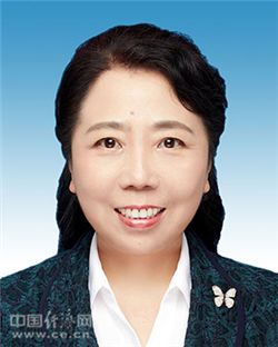 天津市十四届政协主席,副主席简历(主席盛茂林)