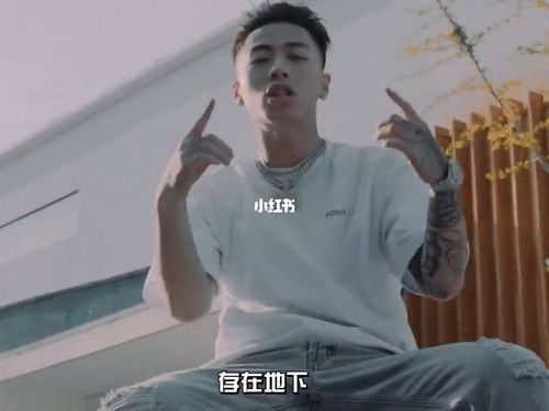 ice 冰块_歌手_说唱_我喜欢的说唱歌手_娱乐_音乐_音乐现场/mv