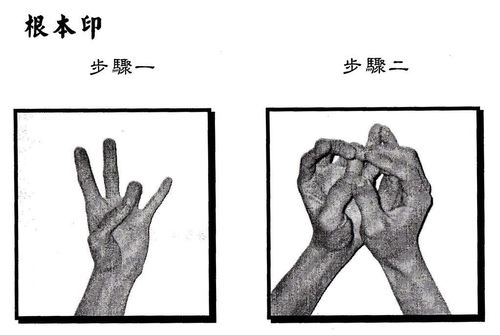 楞严咒六种手印:根本印,金刚拳印,金刚拳内缚印,金刚拳外缚印,大白伞