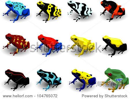 set poison arrow frog vector illustration - 站酷