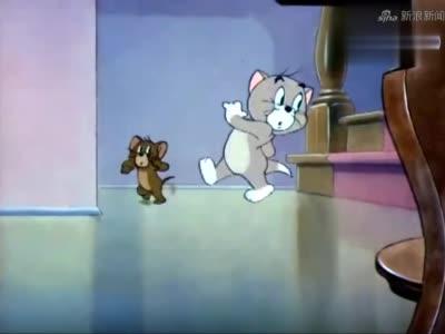 猫和老鼠:这小猫不好教啊,让你抓老鼠的,不是来和它做