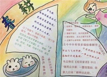 春耕手抄报图片大全