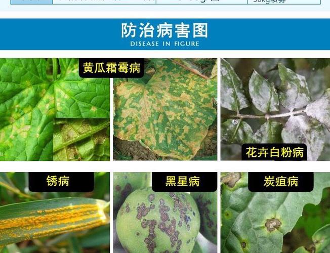 大瓶45%咪鲜胺杀菌剂炭疽病叶斑病青霉病冠腐病稻瘟病杀菌剂