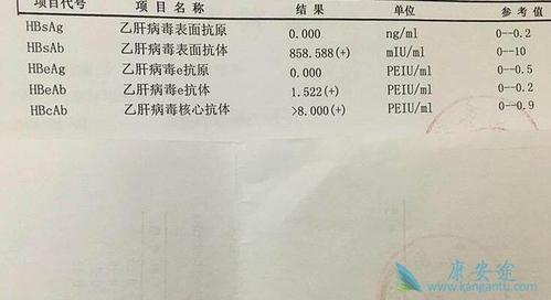 乙肝核心抗体的意义就是检测是否有乙肝病毒感染