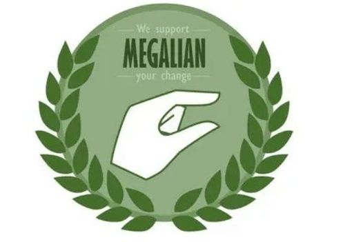 啥,但却犯了韩国男人的大忌, 因为这个姿势太像 megalian组织的logo了