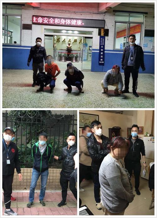 防疫情强打击,破小案大作为—太和所连续作战抓获在逃