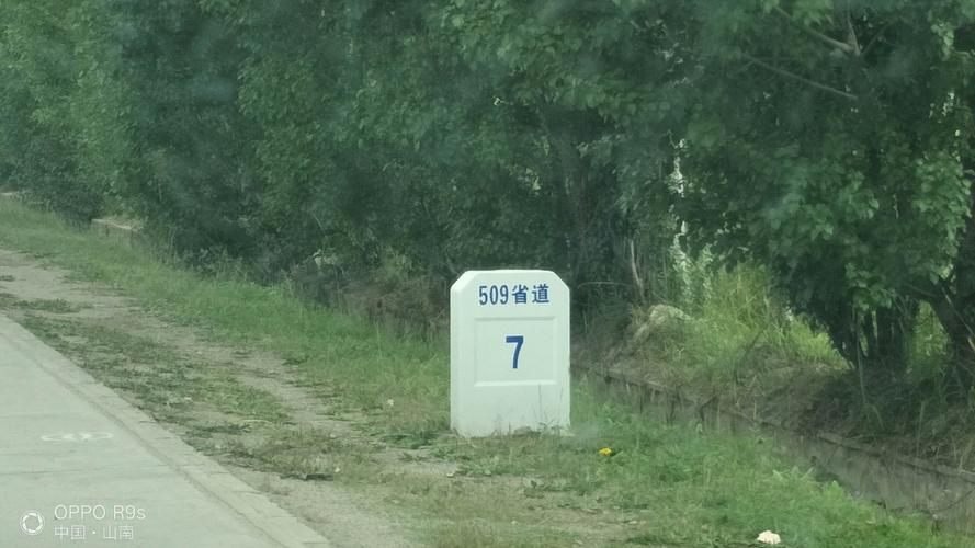 s202省道,路标显示g509国道