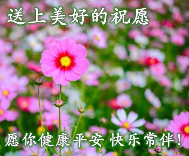 祝福相伴的早安动态表情包每日最新早上好动态祝福图片