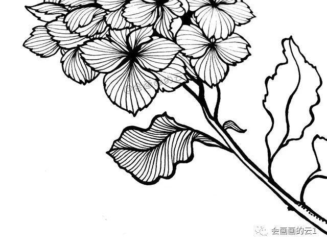 零基础的小白也可以画的简笔画教你用1支笔画一簇花