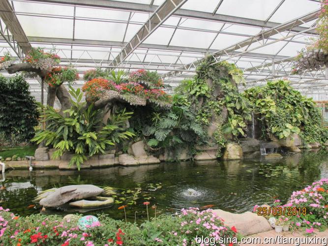 东南花都现代农业博览会