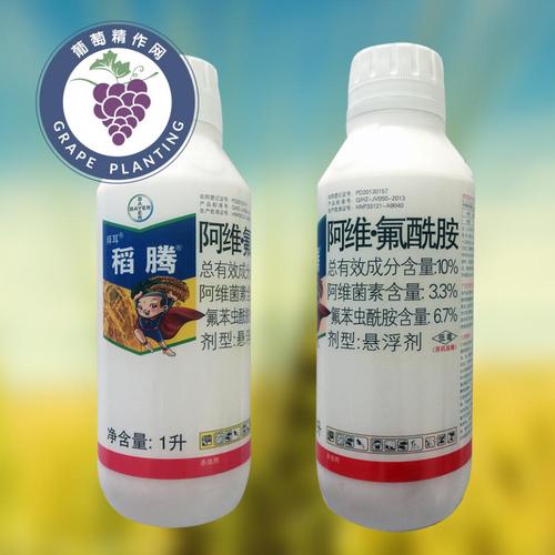 微选 拜耳 稻腾 水稻二化螟斜纹夜蛾鳞翅目进口农药杀虫剂1000毫升1升