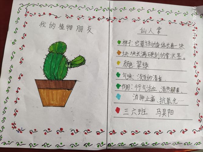 植物记录卡:期待更多用心的作业
