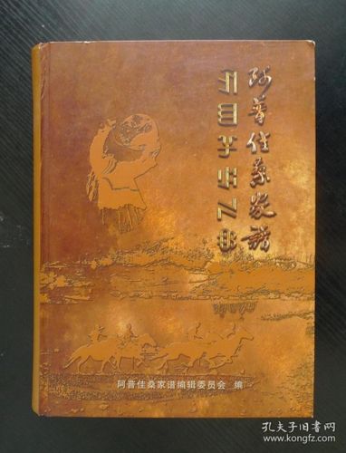 阿普佳桑家谱杨氏彝族家谱少数民族家谱彝文汉文对照