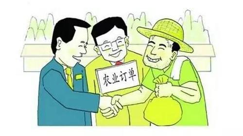 订单农业_订单农业种植项目