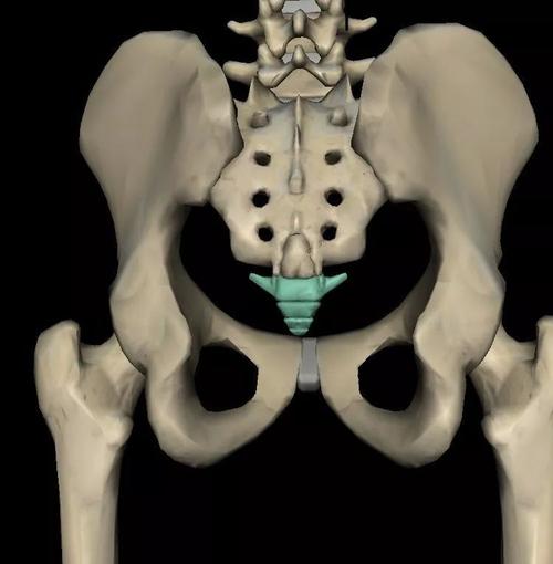孕期尾骨疼痛,是因为你不知道这些事!