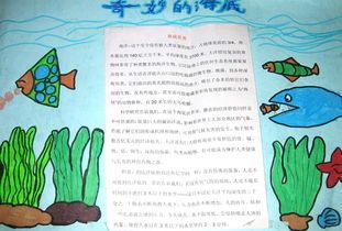 海底世界创意的手抄报 海底世界手抄报