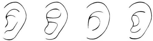 简笔画人物耳朵的画法
