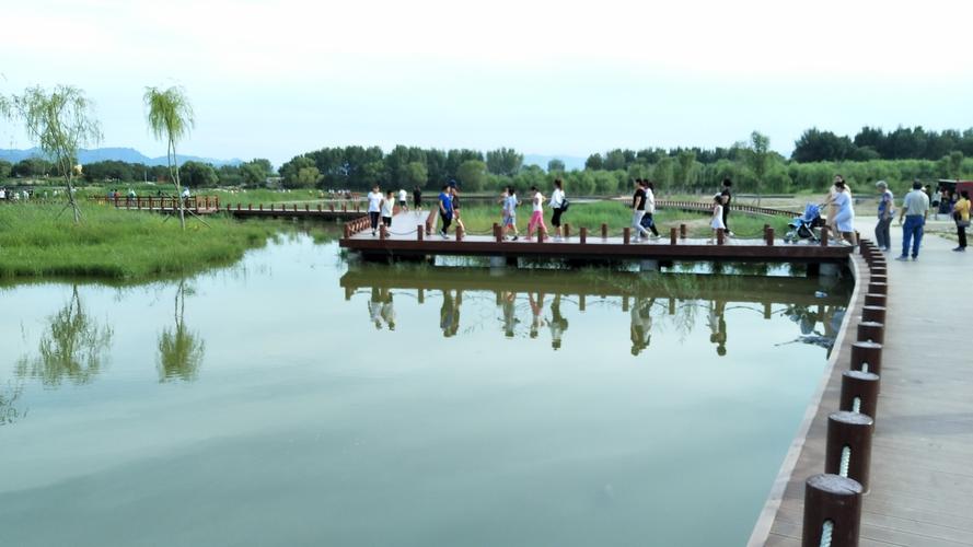 游客在游览水上湿地公园