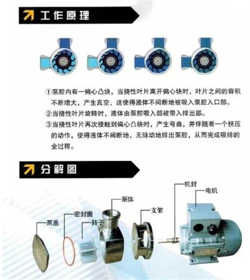 rxb不锈钢高吸程自吸挠性泵