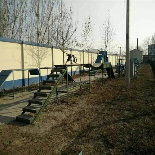 供应部队警犬障碍器材,训犬障碍器材,警犬障碍训练